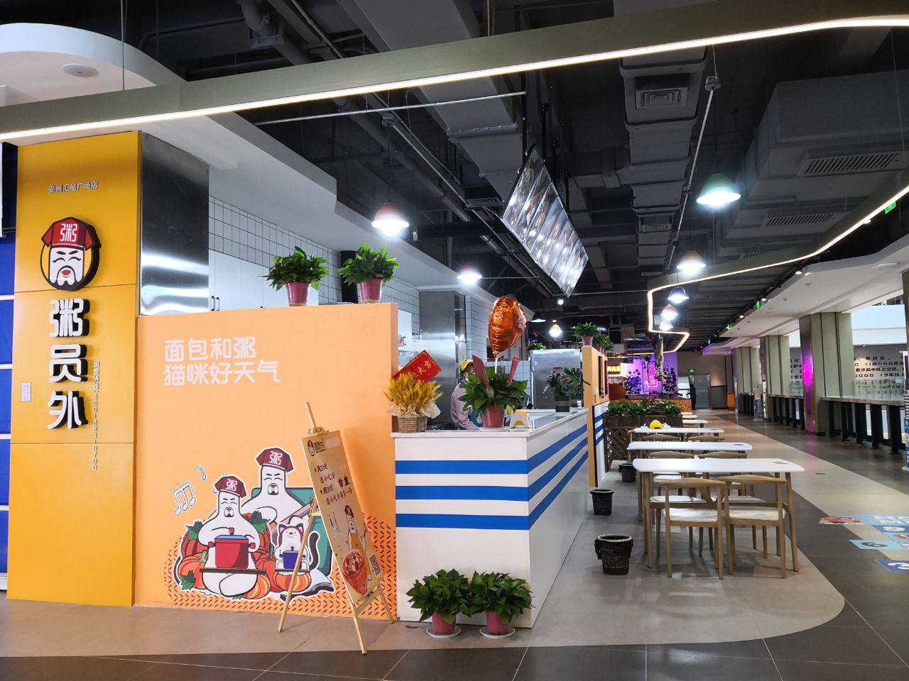 特色养生粥铺粥员外